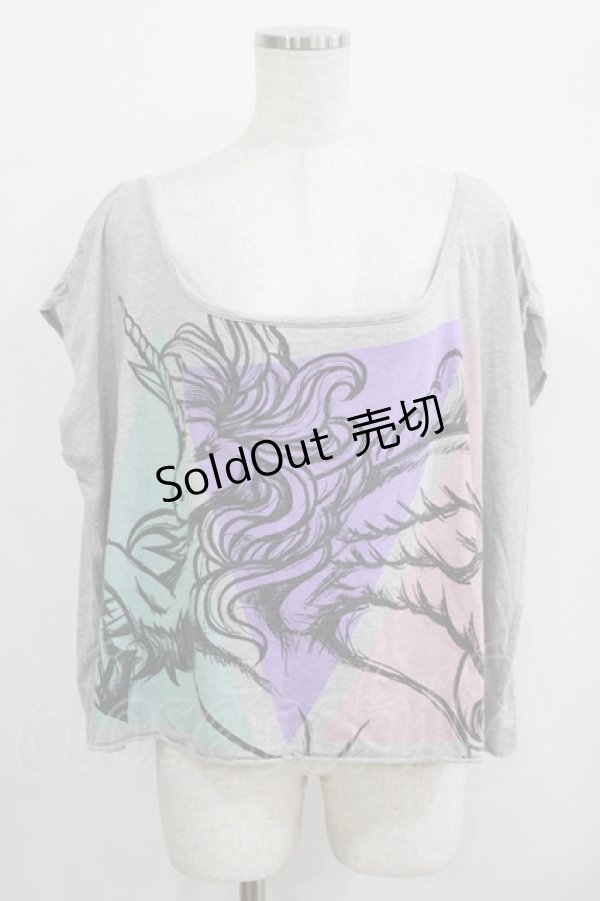 画像1: 【SALE】galaxxxy / ペガサスカットソー  グレー H-25-09-20-035-PU-TO-KB-ZT492 (1)