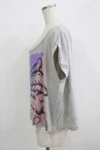 画像2: galaxxxy / ペガサスカットソー  グレー H-25-09-20-035-PU-TO-KB-ZT492 (2)