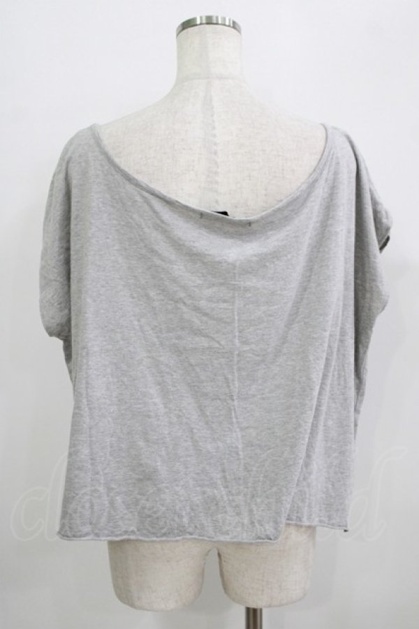 画像3: galaxxxy / ペガサスカットソー  グレー H-25-09-20-035-PU-TO-KB-ZT492 (3)