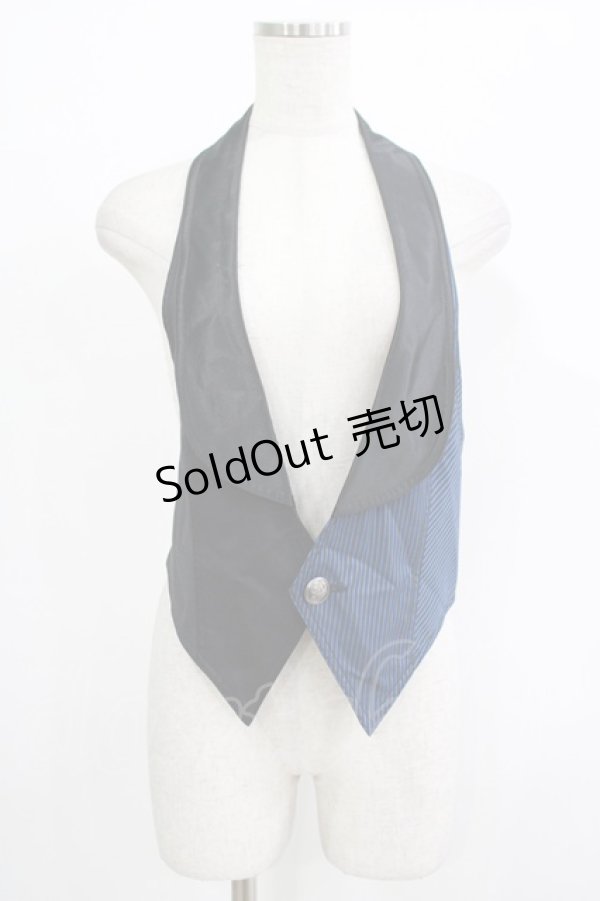 画像1: ALGONQUINS / ストライプ切替ベスト  黒×青 H-25-09-24-084-AL-TO-KB-ZH (1)