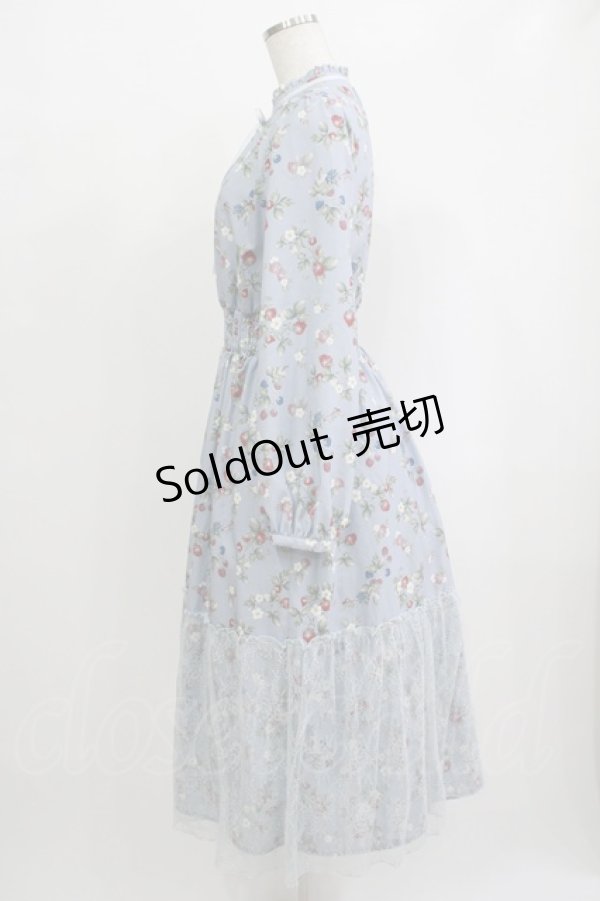 画像2: axes femme / ベリー柄ロングワンピース M サックス H-25-09-27-052-AX-OP-NS-ZH (2)