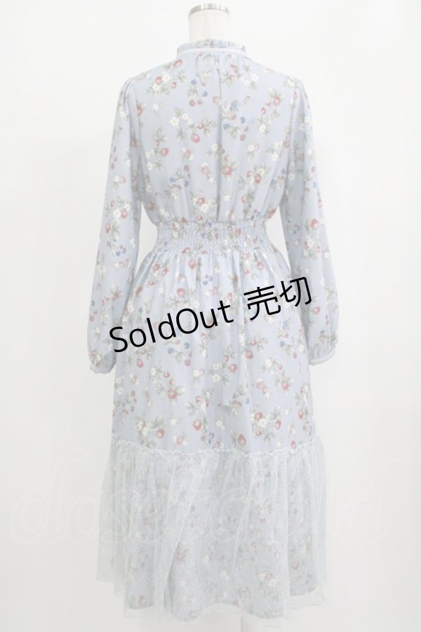 画像3: axes femme / ベリー柄ロングワンピース M サックス H-25-09-27-052-AX-OP-NS-ZH (3)