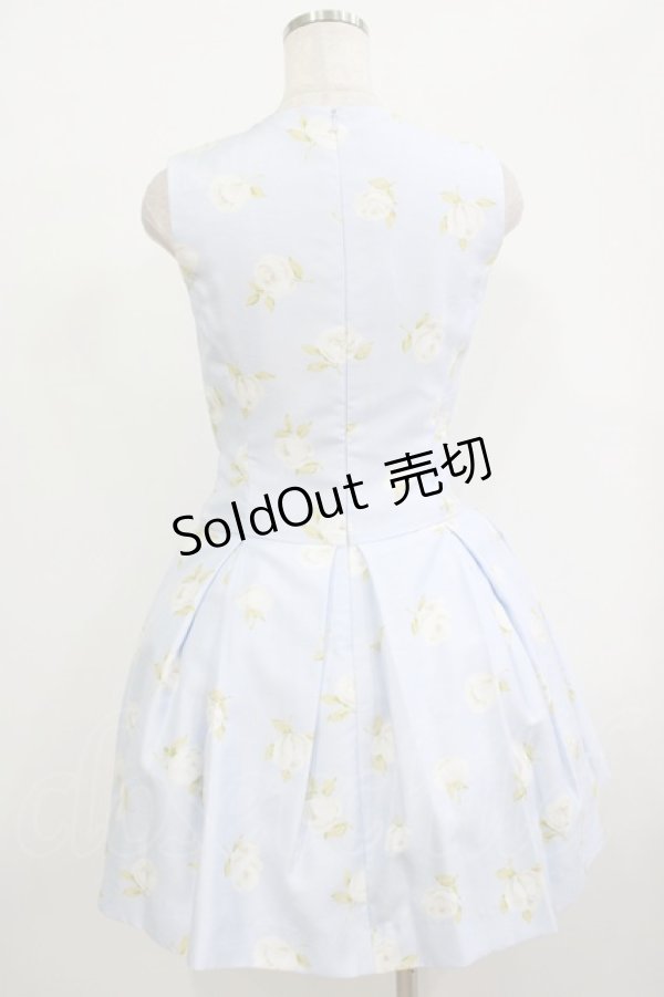 画像3: JESUS DIAMANTE / ロマンスドールワンピース 38 グランヴィルローズ柄サックス H-25-09-28-023-JE-OP-NS-ZH (3)