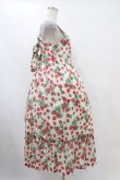 画像3: Jane Marple / Strawberry gardenのストラップドレス  白 H-25-10-01-027-JM-OP-KB-ZT073 (3)