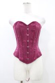 画像1: abilletage / レースプリントロングコルセット 3 ワイン H-25-10-03-045-GO-TO-KB-ZH (1)
