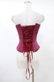 画像2: abilletage / レースプリントロングコルセット 3 ワイン H-25-10-03-045-GO-TO-KB-ZH (2)