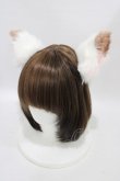 画像1: Deorart / ケモ耳・ヘアアクセサリー   H-25-10-03-002-PU-AC-KB-ZH (1)