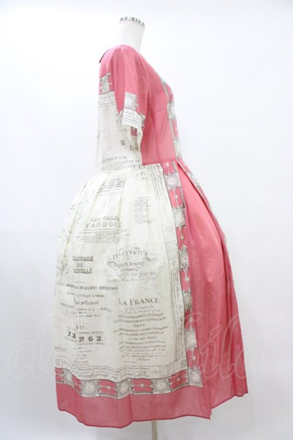 画像3: Jane Marple Dans Le Salon / Bon voyageデイドレス  ローズ H-25-10-04-1012-JM-OP-KB-ZT173 (3)