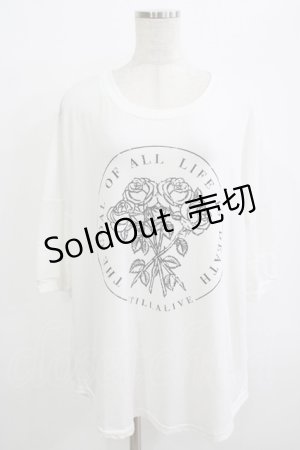 画像: HELL CAT PUNKS / ローズプリントメッシュ切替カットソー  白 H-25-10-04-055-PU-TO-KB-ZT494