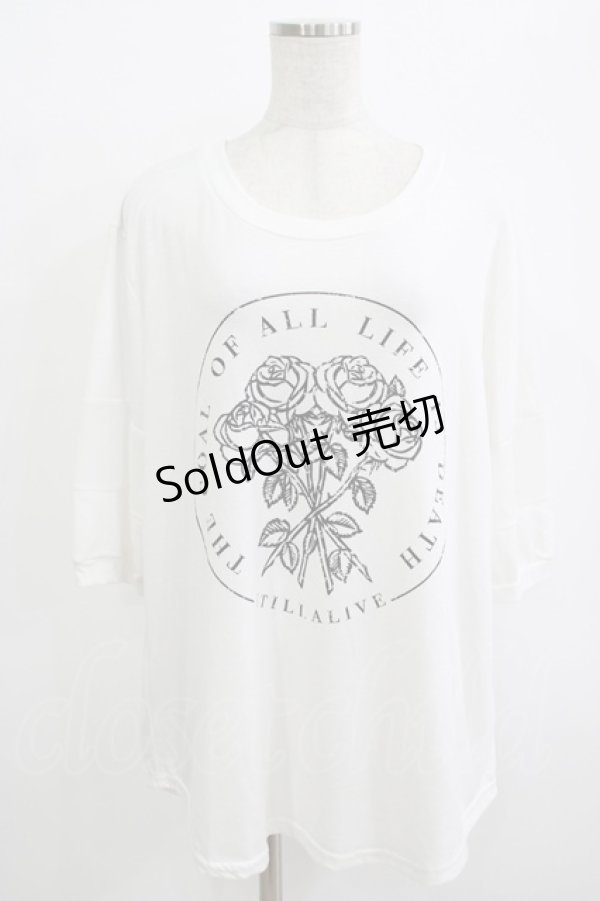 画像1: HELL CAT PUNKS / ローズプリントメッシュ切替カットソー  白 H-25-10-04-055-PU-TO-KB-ZT494 (1)