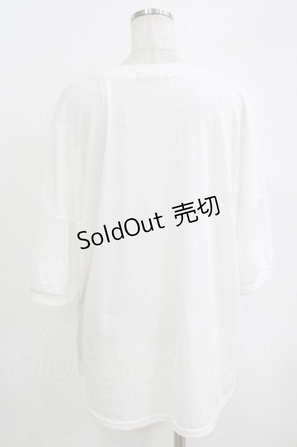 画像3: HELL CAT PUNKS / ローズプリントメッシュ切替カットソー  白 H-25-10-04-055-PU-TO-KB-ZT494 (3)