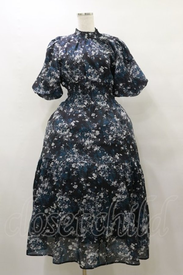 画像1: axes femme / オーガンジーフラワーワンピース Free ブラック H-25-10-07-076-AX-OP-NS-ZH (1)