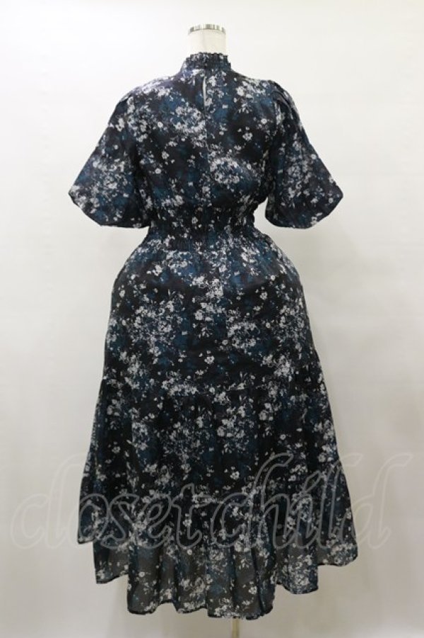 画像2: axes femme / オーガンジーフラワーワンピース Free ブラック H-25-10-07-076-AX-OP-NS-ZH (2)