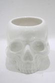 画像1: KILL STAR / CRANIUM PLANTER  ホワイト H-25-10-13-1069-SL-ZA-KB-ZT-W005 (1)