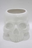 画像1: KILL STAR / CRANIUM PLANTER  ホワイト H-25-10-13-1071-SL-ZA-KB-ZT-W005 (1)