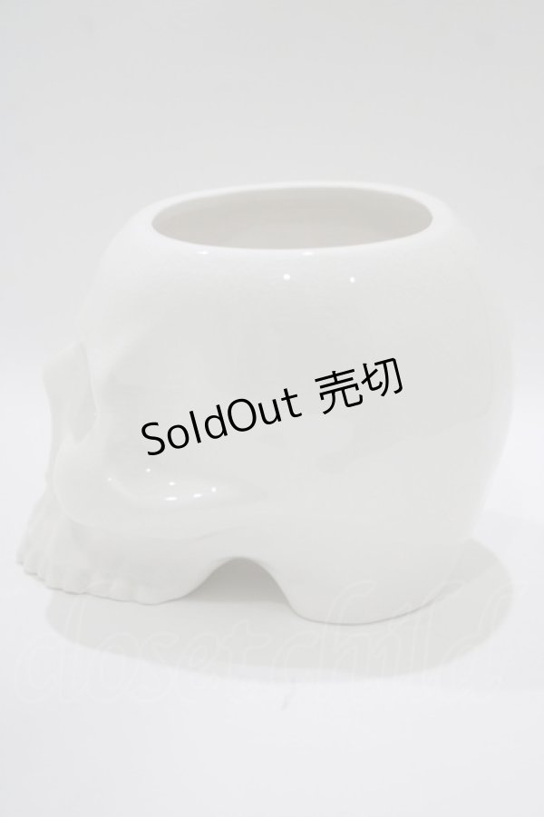 画像2: KILL STAR / CRANIUM PLANTER  ホワイト H-25-10-13-1071-SL-ZA-KB-ZT-W005 (2)