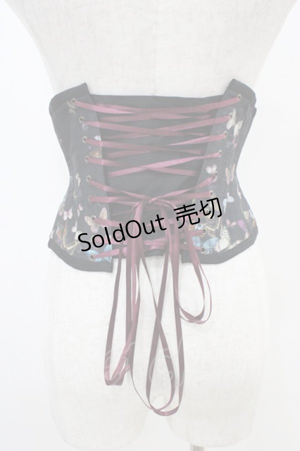 画像2: abilletage / バタフライコルセット ミニショート ブラック H-25-10-20-1016-GO-ZA-KB-ZH (2)