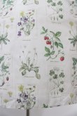 画像5: Melody BasKet / 植物図鑑ボウタイワンピース M アイボリー H-25-10-20-1029-LO-OP-KB-ZH (5)