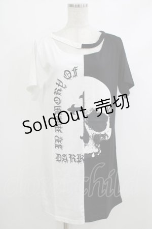 画像: HELL CAT PUNKS / バイカラーロングTシャツSKULL F 黒×白 H-25-10-22-1049-PU-TO-KB-ZT388