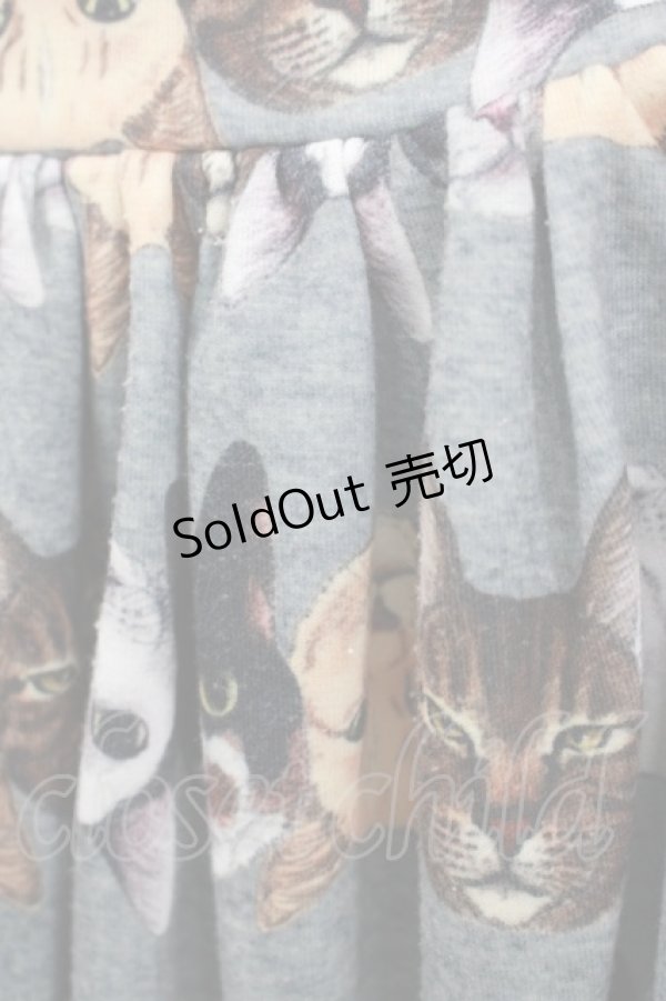 画像5: mmts / 猫ボーダーサス付きスカート  グレー H-25-10-23-1003-PU-SK-KB-ZH (5)