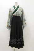 画像1: Favorite / 和洋折衷着物風翡翠の蝶々ワンピース 羽織M~LL/袴S グリーン/ブラック H-25-10-25-049-LO-OP-NS-ZH (1)