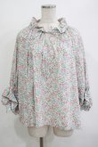 画像1: Jane Marple Dans Le Salon / Lawn Liberty Bubble Sleeve Blouse  オフ×ピンク×ブルー H-25-10-27-033-JM-BL-KB-ZH (1)