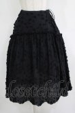 画像1: Jane Marple / Cut flower lace dress skirt  ブラック H-25-10-28-049-JM-SK-KB-ZH (1)