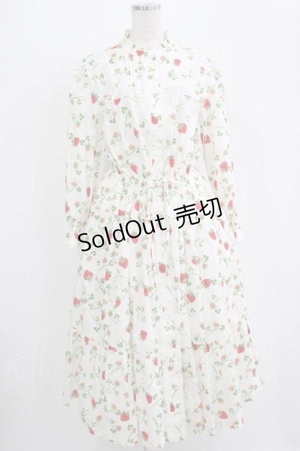 画像1: Jane Marple / Fortune garden working dress M オフ H-25-10-28-016-JM-SK-KB-ZH (1)