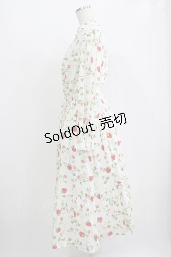 画像2: Jane Marple / Fortune garden working dress M オフ H-25-10-28-016-JM-SK-KB-ZH (2)