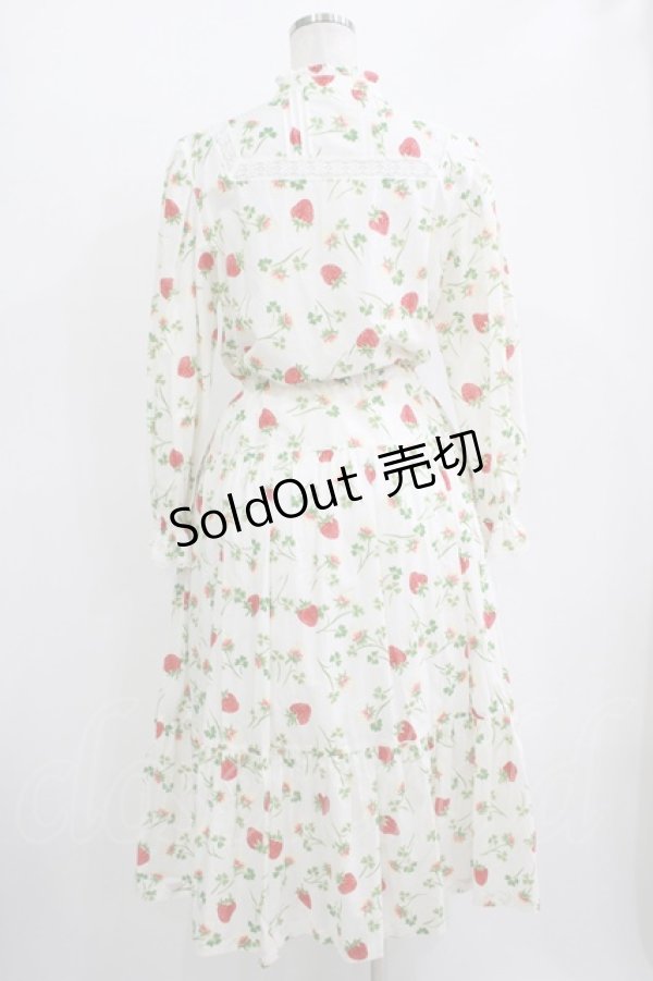 画像3: Jane Marple / Fortune garden working dress M オフ H-25-10-28-016-JM-SK-KB-ZH (3)