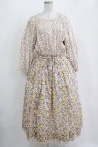 画像1: Jane Marple Dans Le Salon / Raining Rosebuds Gouacheレイヤードワンピース  アイボリー H-25-10-28-017-JM-OP-KB-ZH (1)