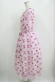 画像2: Jane Marple / Pas de bourree Dayドレス  ピンク H-25-10-28-024-JM-OP-KB-ZH (2)