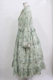 画像2: Another Walker（海外ロリータブランド） / 花柄ワンピース L グリーン H-25-11-01-016-PU-OP-NS-ZH (2)