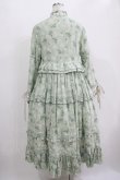画像3: Another Walker（海外ロリータブランド） / 花柄ワンピース L グリーン H-25-11-01-016-PU-OP-NS-ZH (3)