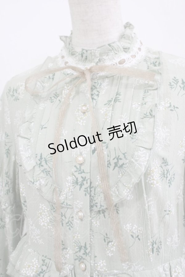 画像4: Another Walker（海外ロリータブランド） / 花柄ワンピース L グリーン H-25-11-01-016-PU-OP-NS-ZH (4)