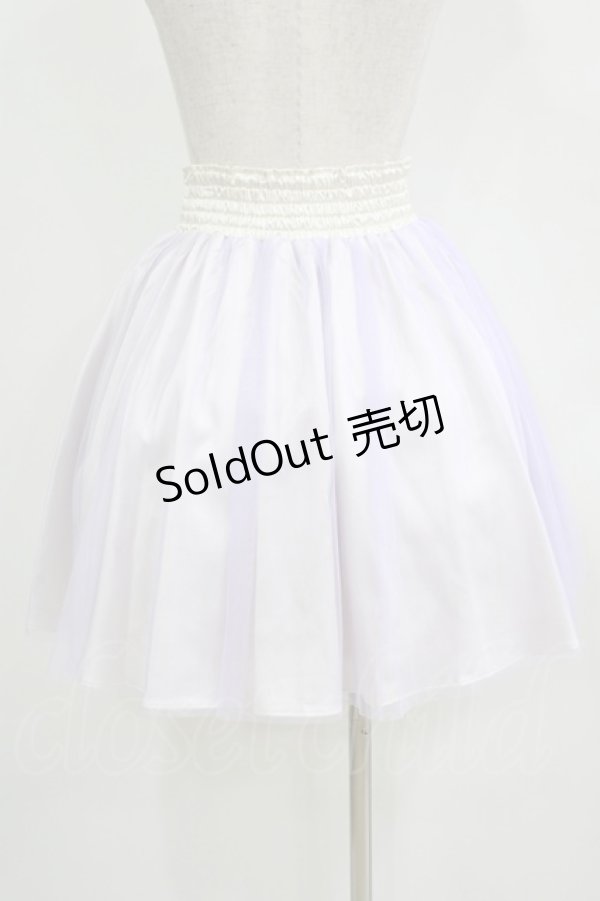 画像3: E hyphen world gallery / チュールスカート Free ラベンダー H-25-11-02-1029-LO-SK-NS-ZH (3)