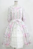 画像1: Angelic Pretty / Secret Daisy Gardenワンピース Free サックス H-25-11-02-1008-AP-OP-NS-ZH (1)