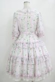 画像3: Angelic Pretty / Secret Daisy Gardenワンピース Free サックス H-25-11-02-1008-AP-OP-NS-ZH (3)