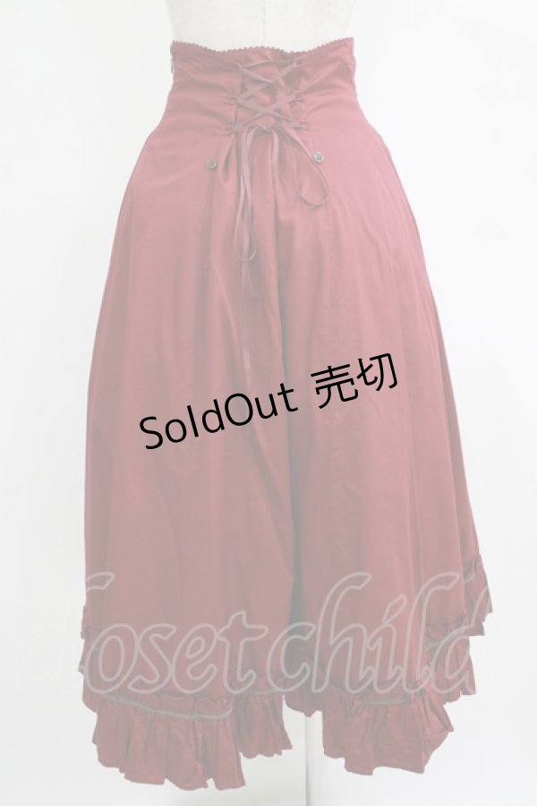 画像3: Victorian maiden / ハイウェストバッスルロングスカート Free ボルドー H-25-11-02-1020-CL-SK-NS-ZH (3)
