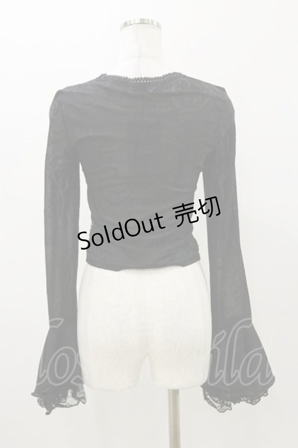 画像2: DARK IN LOVE / Gothic luxe lace see-through belly sexy top M ブラック H-25-11-04-066-PU-TO-KB-ZH (2)