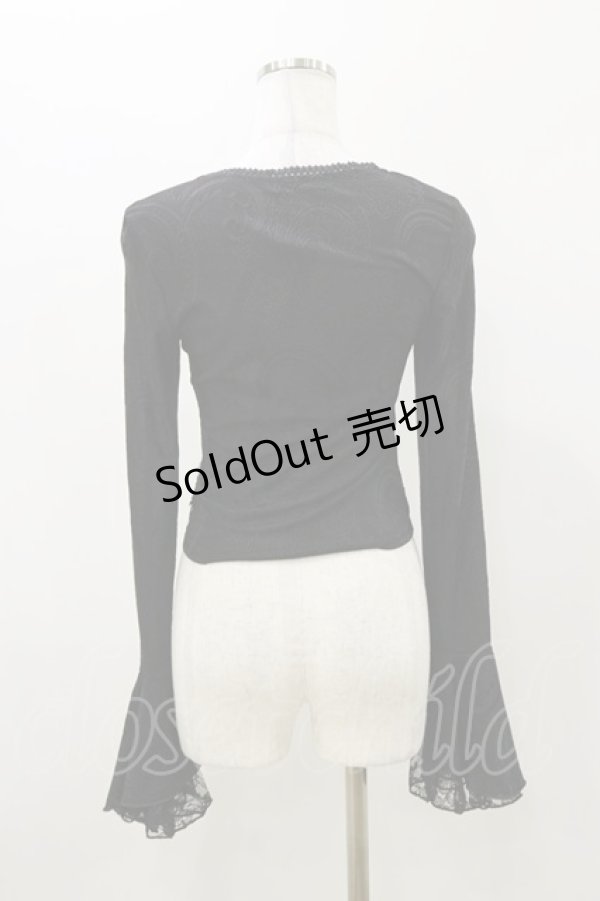 画像2: DARK IN LOVE / Gothic luxe lace see-through belly sexy top M ブラック H-25-11-04-067-PU-TO-KB-ZH (2)