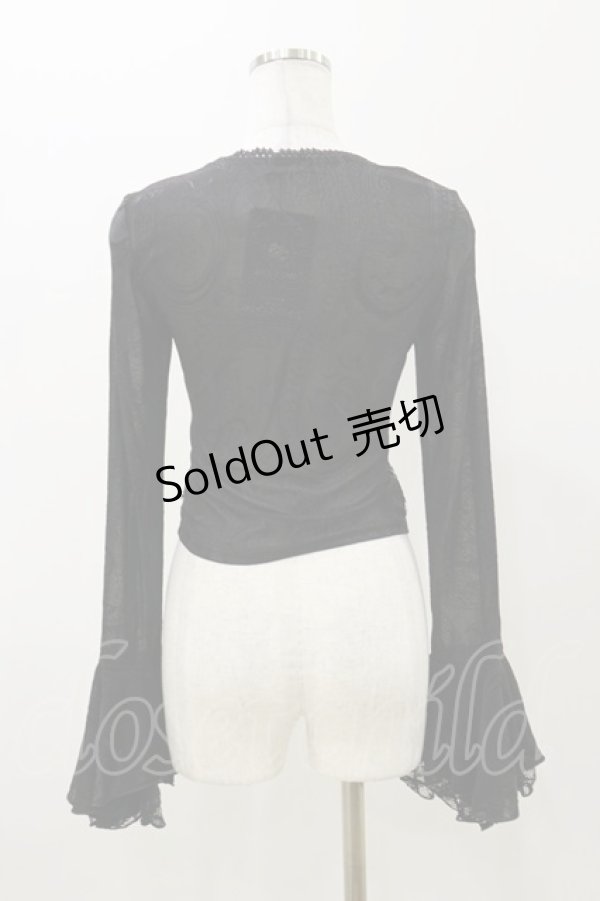 画像2: DARK IN LOVE / Gothic luxe lace see-through belly sexy top M ブラック H-25-11-04-068-PU-TO-KB-ZH (2)