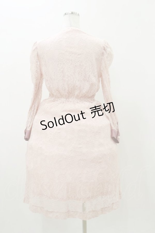 画像2: Swankiss / TS Rose刺繍 mademiselle O/P Free ピンク H-25-11-05-071-CA-OP-NS-ZH (2)