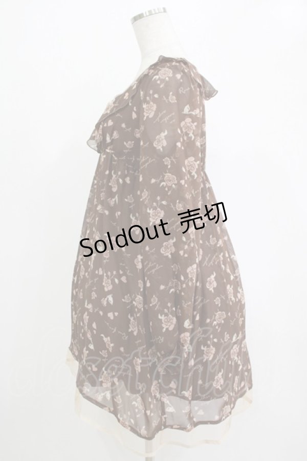 画像2: an another angelus / ローズプリントシフォンワンピース Free ブラウン H-25-11-06-036-CA-OP-NS-ZH (2)