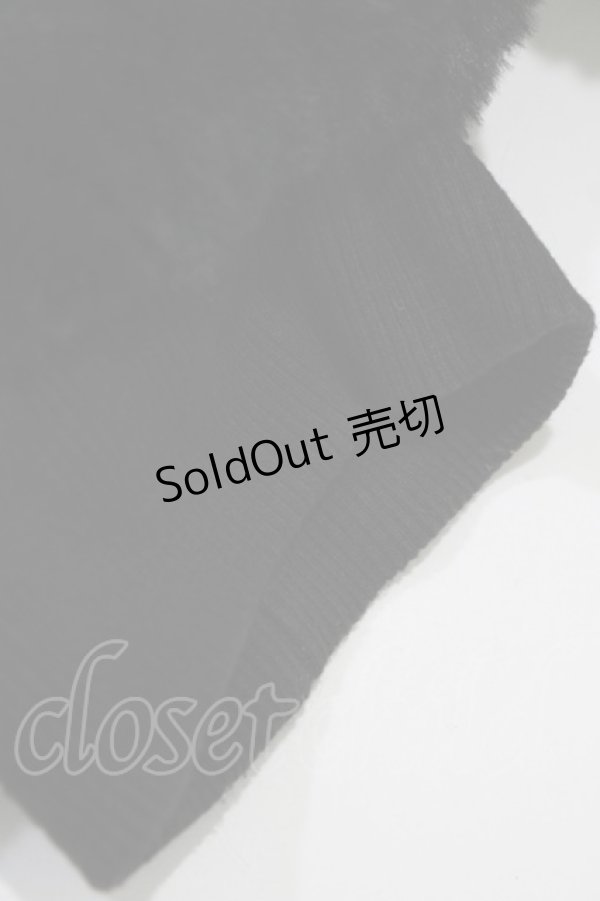 画像4: Rojita / レースアップファーブルゾン Free ブラック H-25-11-06-046-LO-JA-NS-ZH (4)