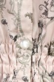 画像6: Melody BasKet / Rose Princessブラウスワンピース M ピンク H-25-11-06-1017-LO-OP-KB-ZH (6)