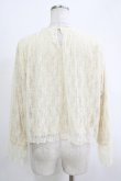 画像3: an another angelus / チュールレースブラウス Free IVORY H-25-11-06-057-CA-TO-NS-ZH (3)