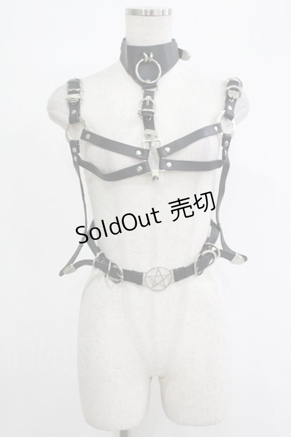 画像1: KILL STAR / ベルトハーネス  黒 H-25-11-07-028-SL-ZA-KB-ZH (1)