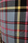 画像4: MILK / Beeチェックワンピース  ANDERSON tartan H-25-11-09-1019-ML-OP-KB-ZH (4)