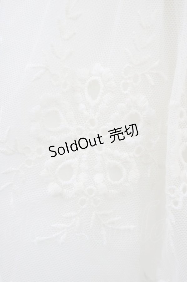 画像3: LIZ LISA / チュールスカパン Free オフ H-25-11-10-039-LO-PA-NS-ZH (3)